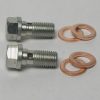 Banjo Bolt M8 x 1.0 (set of 2)