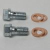 Banjo Bolt M8 x 1.25 (set of 2)