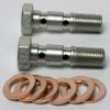 Banjo Bolt M10 x 1.0 Double (set of 2)