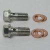 Banjo Bolt M10 x 1.5mm Stainless Steel (set of 2)