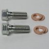 Banjo Bolt M10 x 1.5 Long (set of 2)
