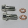 Banjo Bolt 7/16 x 20 UNF (set of 2)