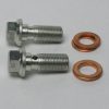 Banjo Bolt 7/16 x 24 UNS (set of 2)