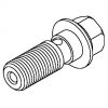Banjo Bolt 3/8 x 24NF Stainless Steel (Set of 2) - Image 2