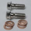 Banjo Bolt 3/8 x 24NF Stainless Steel (Set of 2)