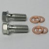 Banjo Bolt M10 x 1.0 Long (set of 2)