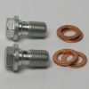 Banjo Bolt M12 x 1.0mm (set of 2)