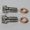 Banjo Bolt M10 x 1.25 Stainless Steel (set of 2)