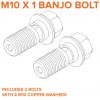 Banjo Bolt M10 X 1.0mm (set of 2)
